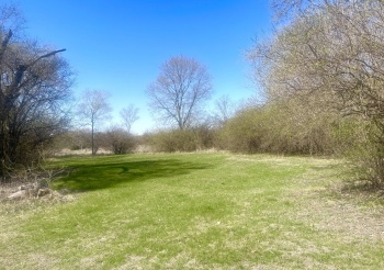 0 Johnson, Utica, Illinois 61373, ,Land,For Sale,Johnson,202503345