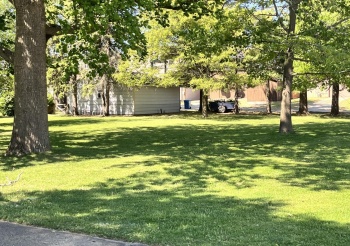 116 LaSalle, LADD, Illinois 61329, ,Land,For Sale,LaSalle,202503359