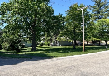 116 LaSalle, LADD, Illinois 61329, ,Land,For Sale,LaSalle,202503368