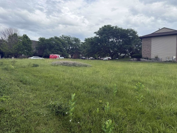 808 Cheshire, FREEPORT, Illinois 61032, ,Commercial Land,For Sale,Cheshire,202503518