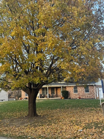 71 Ford, EAST DUBUQUE, Illinois 61025, 5 Bedrooms Bedrooms, ,3 BathroomsBathrooms,House,For Sale,Ford,202503533