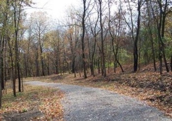 Lot #6 Thirty Foot Trail, Oglesby, Illinois 61348, ,Land,For Sale,Thirty Foot Trail,202503538