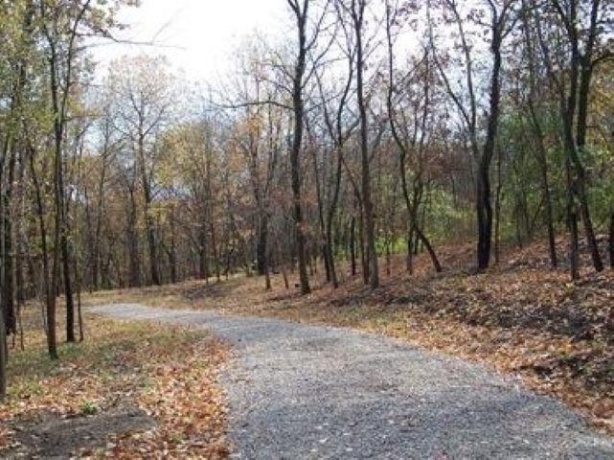 Lot #6 Thirty Foot Trail, Oglesby, Illinois 61348, ,Land,For Sale,Thirty Foot Trail,202503538