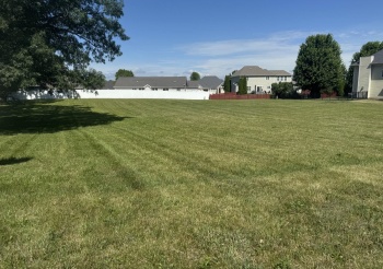 Mary Senica, Lot 46, LaSalle, Illinois 61301, ,Land,For Sale,Mary Senica, Lot 46,202503596