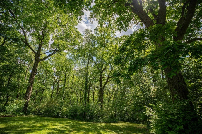 12790 IL 76, POPLAR GROVE, Illinois 61065, 4 Bedrooms Bedrooms, ,2 BathroomsBathrooms,House,For Sale,IL 76,202503766