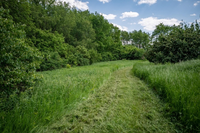 12790 IL 76, POPLAR GROVE, Illinois 61065, 4 Bedrooms Bedrooms, ,2 BathroomsBathrooms,House,For Sale,IL 76,202503766