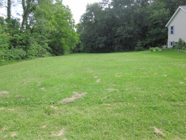 1225 LAKE SUMMERSET, LAKE SUMMERSET, Illinois 61019, ,Land,For Sale,LAKE SUMMERSET,202302720