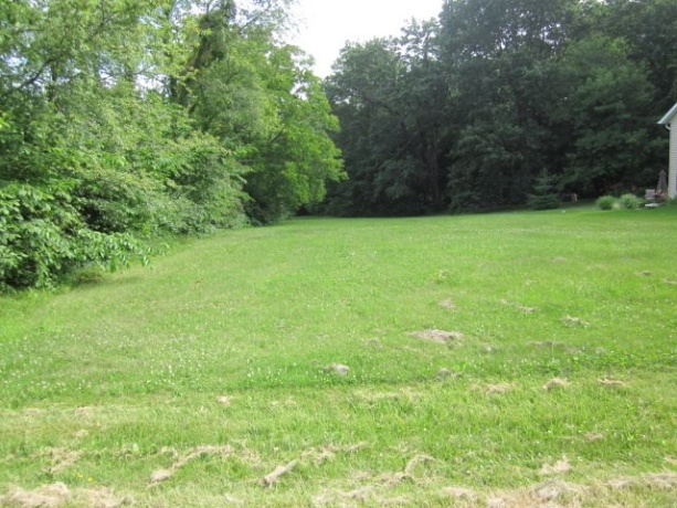 1225 LAKE SUMMERSET, LAKE SUMMERSET, Illinois 61019, ,Land,For Sale,LAKE SUMMERSET,202302720