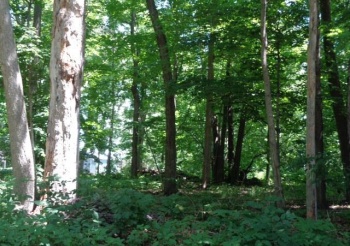 26XX Tuck-a-way, ROCKFORD, Illinois 61107, ,Land,For Sale,Tuck-a-way,202503787