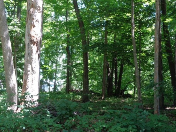 26XX Tuck-a-way, ROCKFORD, Illinois 61107, ,Land,For Sale,Tuck-a-way,202503787