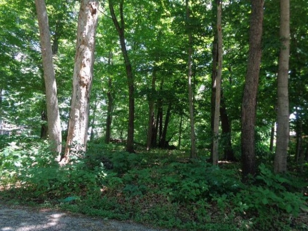 26XX Tuck-a-way, ROCKFORD, Illinois 61107, ,Land,For Sale,Tuck-a-way,202503787