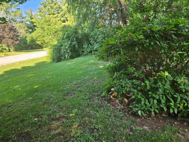 100 PRINCE, POPLAR GROVE, Illinois 61065, 4 Bedrooms Bedrooms, ,3 BathroomsBathrooms,House,For Sale,PRINCE,202503803