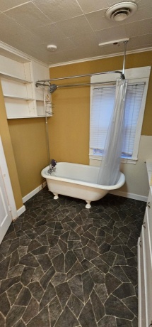 24 Mulberry, SAVANNA, Illinois 61074, ,2 Units,For Sale,Mulberry,202503874