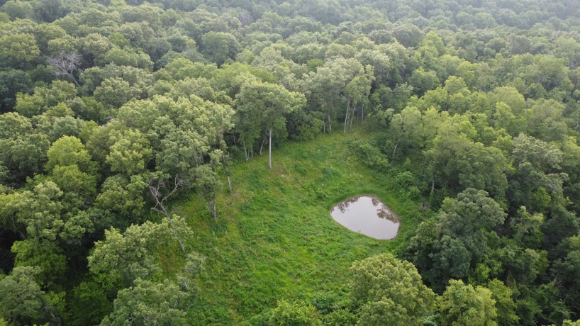 78+/- Acres TBD Blanding, HANOVER, Illinois 61041, ,Land,For Sale,Blanding,202503999