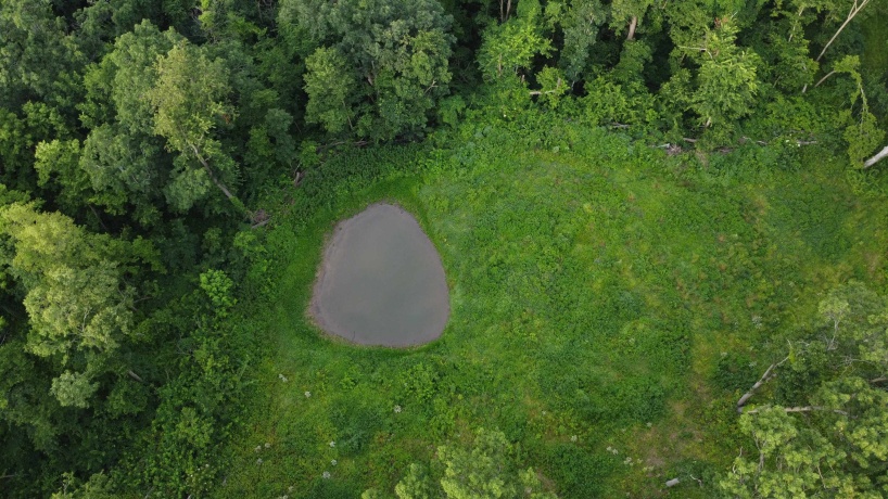 78+/- Acres TBD Blanding, HANOVER, Illinois 61041, ,Land,For Sale,Blanding,202503999