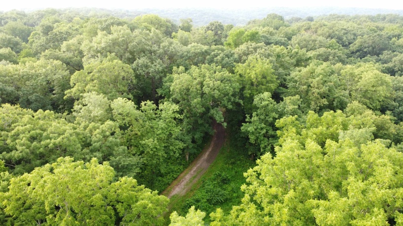 78+/- Acres TBD Blanding, HANOVER, Illinois 61041, ,Land,For Sale,Blanding,202503999