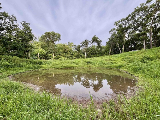 78+/- Acres TBD Blanding, HANOVER, Illinois 61041, ,Land,For Sale,Blanding,202503999