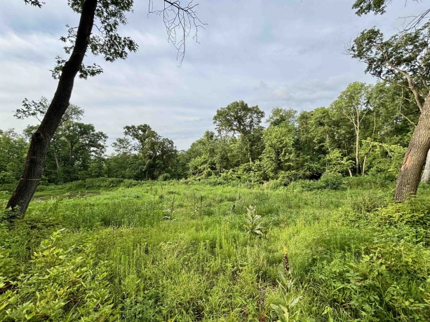 78+/- Acres TBD Blanding, HANOVER, Illinois 61041, ,Land,For Sale,Blanding,202503999