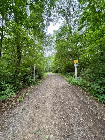 78+/- Acres TBD Blanding, HANOVER, Illinois 61041, ,Land,For Sale,Blanding,202503999