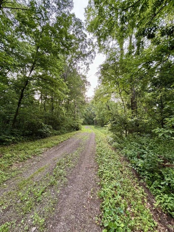 78+/- Acres TBD Blanding, HANOVER, Illinois 61041, ,Land,For Sale,Blanding,202503999