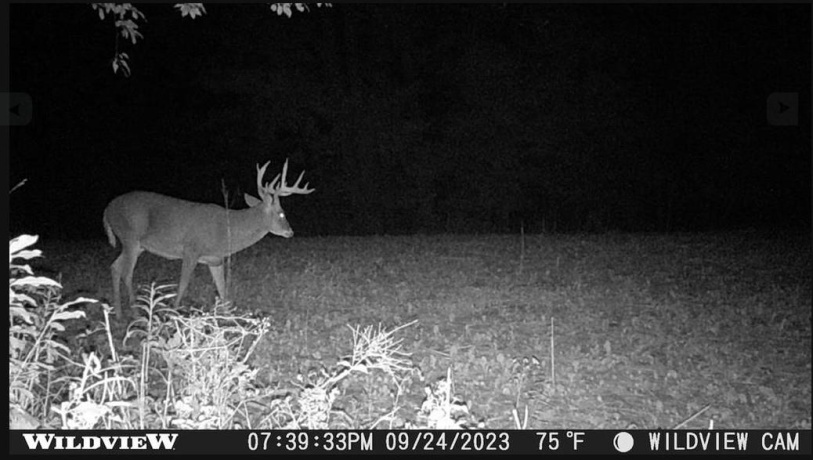 78+/- Acres TBD Blanding, HANOVER, Illinois 61041, ,Land,For Sale,Blanding,202503999