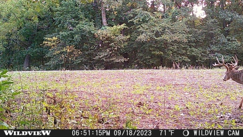 78+/- Acres TBD Blanding, HANOVER, Illinois 61041, ,Land,For Sale,Blanding,202503999