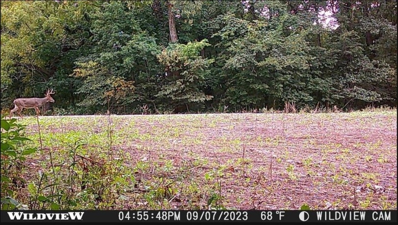 78+/- Acres TBD Blanding, HANOVER, Illinois 61041, ,Land,For Sale,Blanding,202503999