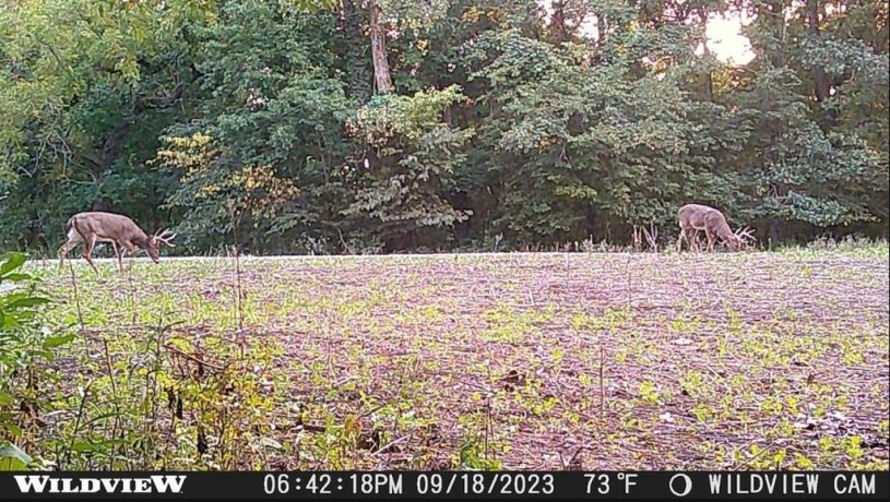 78+/- Acres TBD Blanding, HANOVER, Illinois 61041, ,Land,For Sale,Blanding,202503999