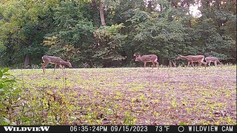 78+/- Acres TBD Blanding, HANOVER, Illinois 61041, ,Land,For Sale,Blanding,202503999