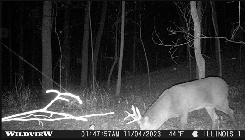 78+/- Acres TBD Blanding, HANOVER, Illinois 61041, ,Land,For Sale,Blanding,202503999