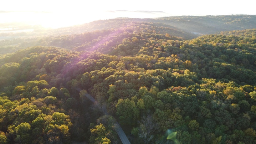 78+/- Acres TBD Blanding, HANOVER, Illinois 61041, ,Land,For Sale,Blanding,202503999