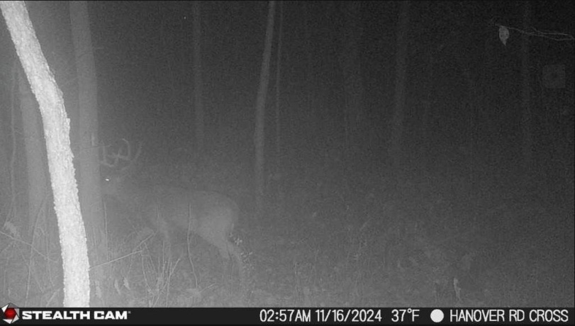 78+/- Acres TBD Blanding, HANOVER, Illinois 61041, ,Land,For Sale,Blanding,202503999