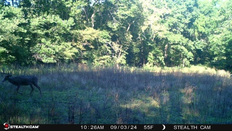 78+/- Acres TBD Blanding, HANOVER, Illinois 61041, ,Land,For Sale,Blanding,202503999