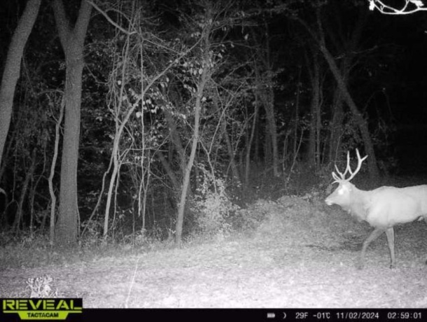 78+/- Acres TBD Blanding, HANOVER, Illinois 61041, ,Land,For Sale,Blanding,202503999