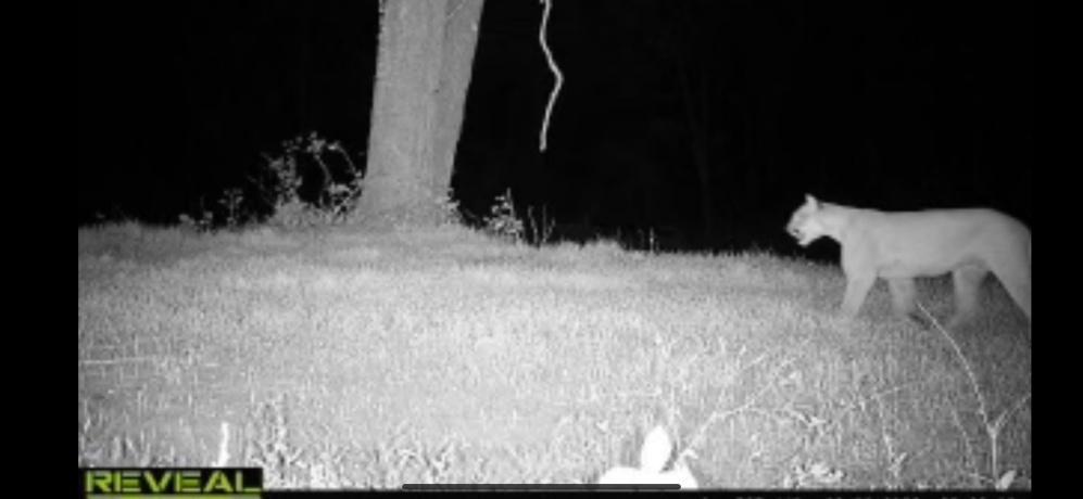 78+/- Acres TBD Blanding, HANOVER, Illinois 61041, ,Land,For Sale,Blanding,202503999