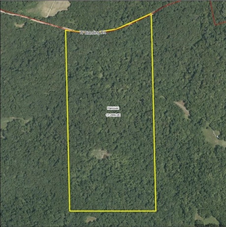 78+/- Acres TBD Blanding, HANOVER, Illinois 61041, ,Land,For Sale,Blanding,202503999