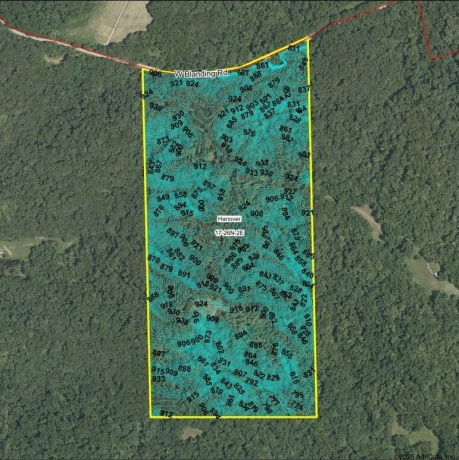 78+/- Acres TBD Blanding, HANOVER, Illinois 61041, ,Land,For Sale,Blanding,202503999