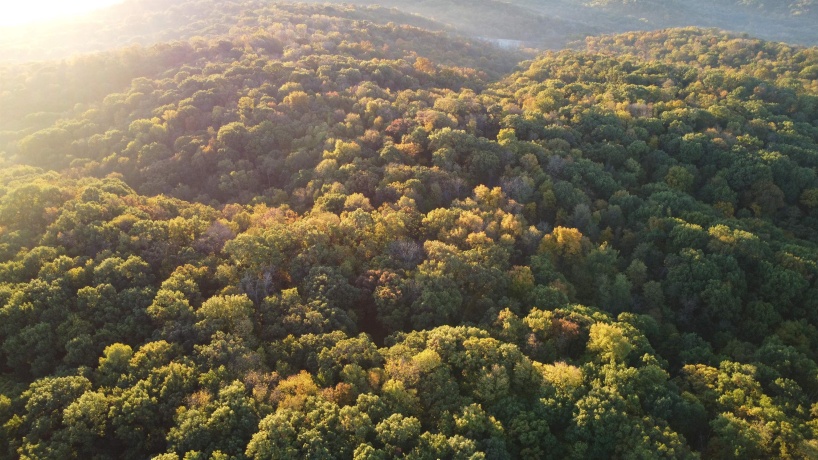 78+/- Acres TBD Blanding, HANOVER, Illinois 61041, ,Land,For Sale,Blanding,202503999