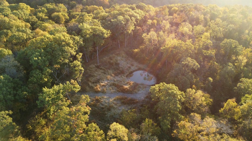 78+/- Acres TBD Blanding, HANOVER, Illinois 61041, ,Land,For Sale,Blanding,202503999