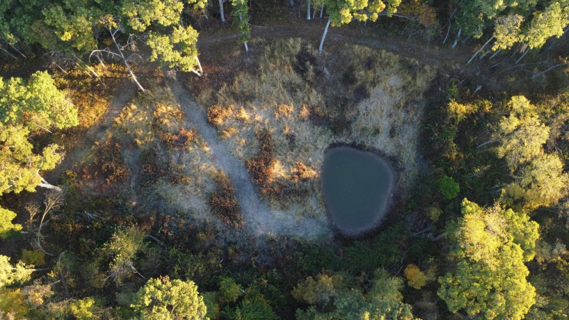 78+/- Acres TBD Blanding, HANOVER, Illinois 61041, ,Land,For Sale,Blanding,202503999