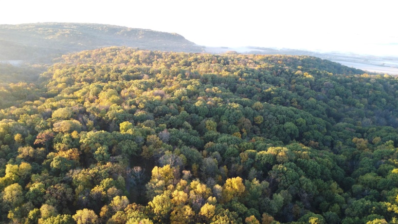 78+/- Acres TBD Blanding, HANOVER, Illinois 61041, ,Land,For Sale,Blanding,202503999