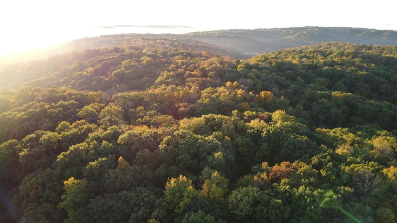 78+/- Acres TBD Blanding, HANOVER, Illinois 61041, ,Land,For Sale,Blanding,202503999