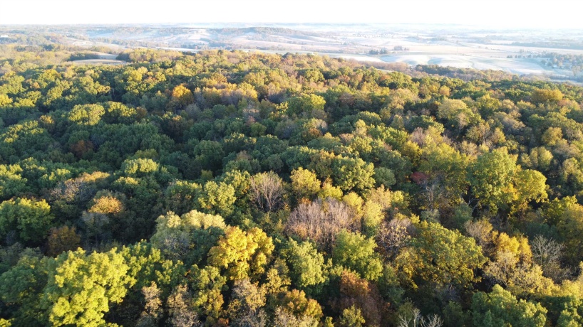 78+/- Acres TBD Blanding, HANOVER, Illinois 61041, ,Land,For Sale,Blanding,202503999