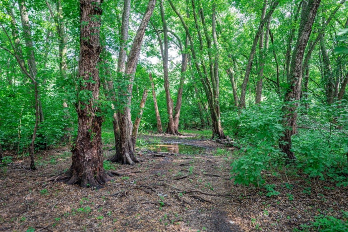 xxx Perry, SOUTH BELOIT, Illinois 61080, ,Land,For Sale,Perry,202504057