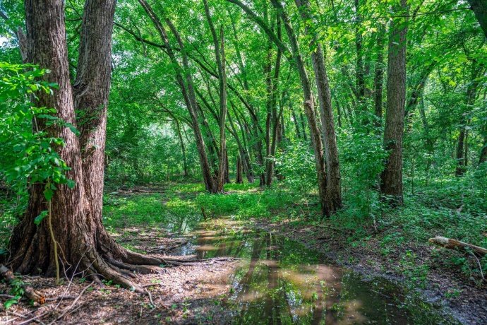 xxx Perry, SOUTH BELOIT, Illinois 61080, ,Land,For Sale,Perry,202504057