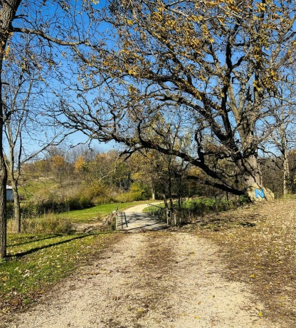 14190 Goldmine, PEARL CITY, Illinois 61062, 2 Bedrooms Bedrooms, ,1 BathroomBathrooms,House,For Sale,Goldmine,202400135