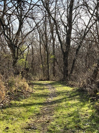 14190 Goldmine, PEARL CITY, Illinois 61062, 2 Bedrooms Bedrooms, ,1 BathroomBathrooms,House,For Sale,Goldmine,202400135