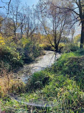 14190 Goldmine, PEARL CITY, Illinois 61062, 2 Bedrooms Bedrooms, ,1 BathroomBathrooms,House,For Sale,Goldmine,202400135