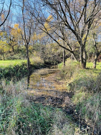 14190 Goldmine, PEARL CITY, Illinois 61062, 2 Bedrooms Bedrooms, ,1 BathroomBathrooms,House,For Sale,Goldmine,202400135