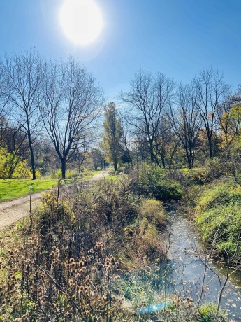 14190 Goldmine, PEARL CITY, Illinois 61062, 2 Bedrooms Bedrooms, ,1 BathroomBathrooms,House,For Sale,Goldmine,202400135